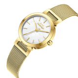Slazenger Gold Ladies Watch SL.09.2592.3.120