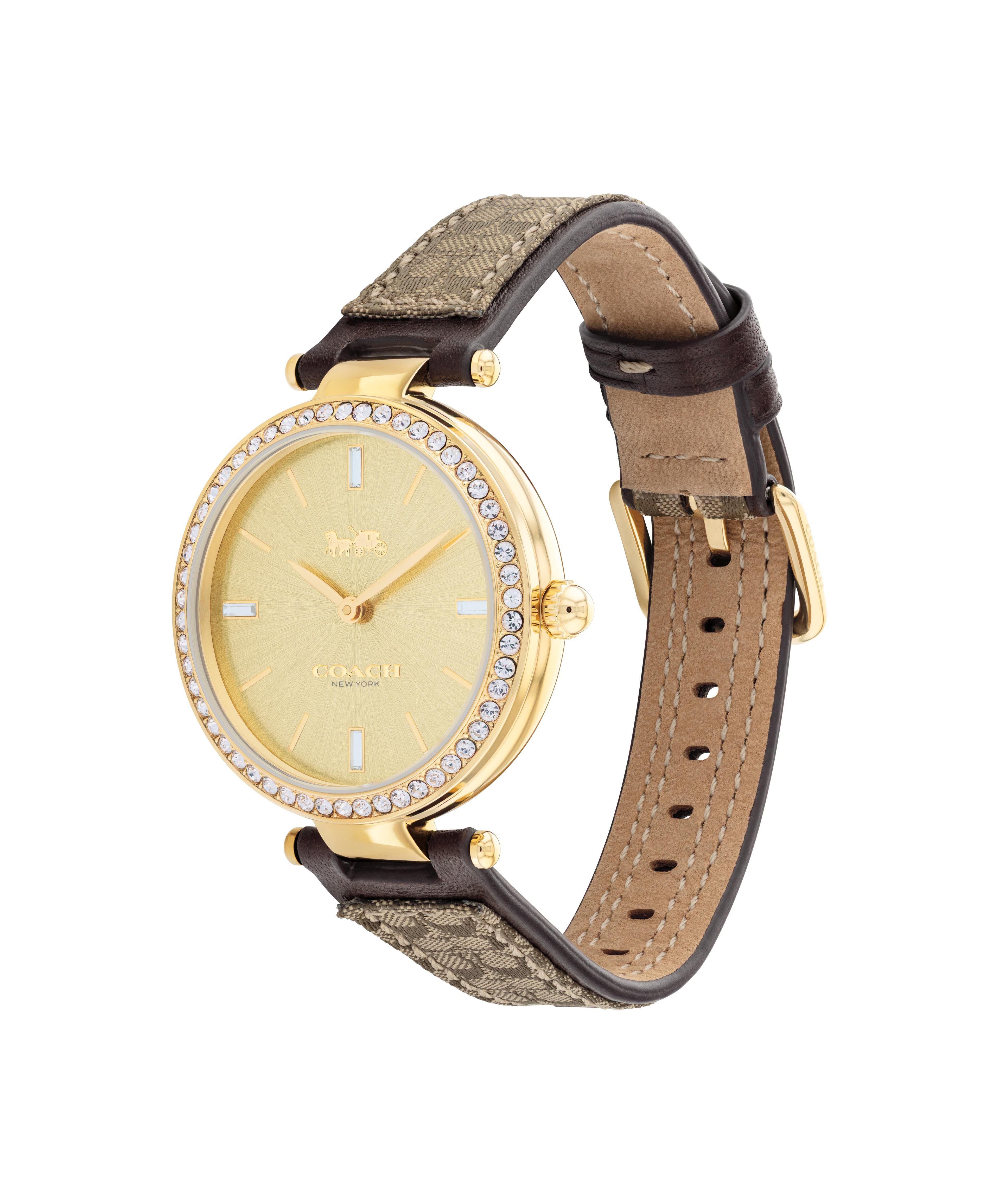 Coach Park watch side profile showing oval case, crystal bezel, and mixed-material strap