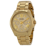 Fossil Cecile Multi-Function Champagne Dial Stainless Steel Ladies Watch AM4510 - Watches of Australia
