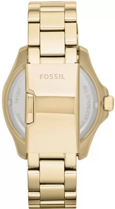 Fossil Cecile Multi-Function Champagne Dial Stainless Steel Women's Watch - AM4510
