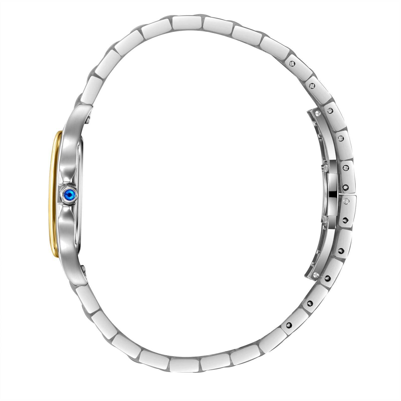Two-tone watch bracelet and case detail showing steel and gold color combination